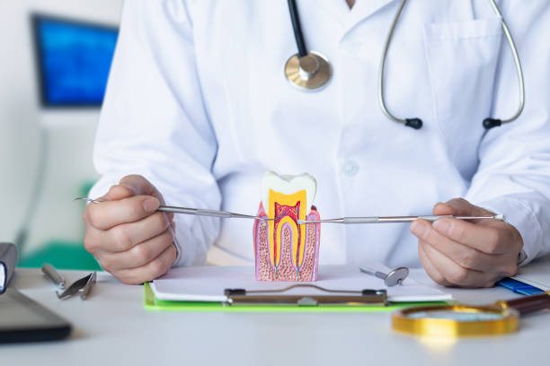 Best Broken or Cracked Tooth Emergency Dentist in Kdeer, IL